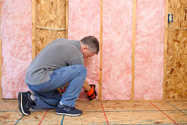 Best Eco-Friendly Insulation in Everett, WA