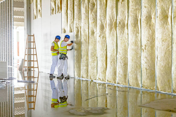 Best DIY Insulation Kits and Guidance in Everett, WA